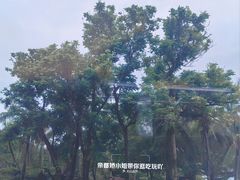 -海南分界洲岛旅游区