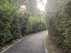 -华侨城湿地公园