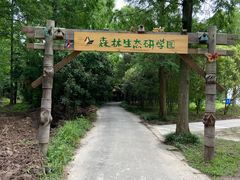 -东平国家森林公园