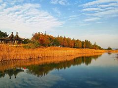-苏州太湖湖滨国家湿地公园