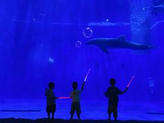 -华夏文旅海洋公园