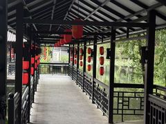 -侨美·唐荔园·40年地道粤菜