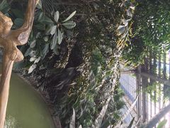 龙达温泉生态城-龙达温泉生态城