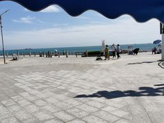 -海合安青岛极地海洋公园