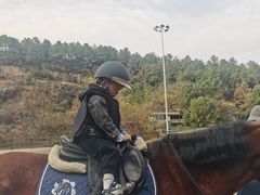 -枫露马术学院(藏书校区)