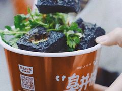 黑色经典臭豆腐-黑色经典臭豆腐·湖南特产(太平街口店)