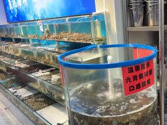 -仙螺岛海鲜自助餐厅(总店)