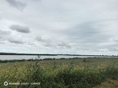 -盐城丹顶鹤湿地生态旅游区