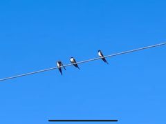 -雅鲁激流探险漂流