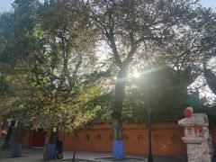 -哈尔滨极乐寺