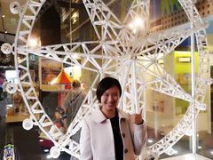 -墨尔本之星 观景摩天轮