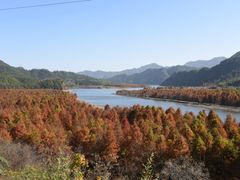 -左邻右舍徽菜馆