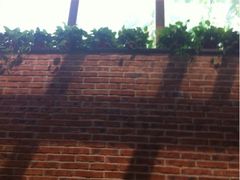 iphone_upload_pic-金豆角砂锅焖面(安贞店)