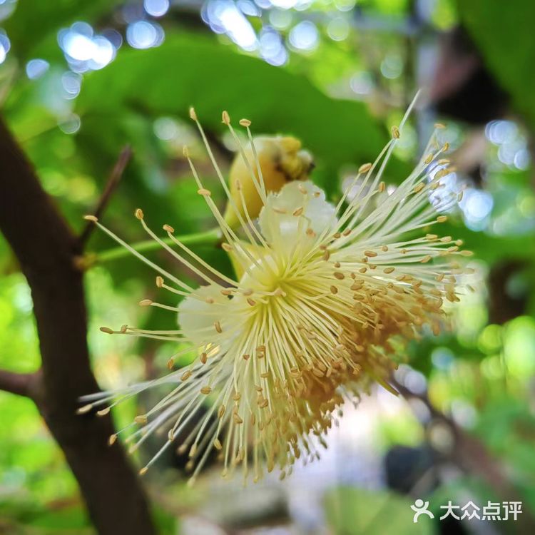 果园秘境小探险