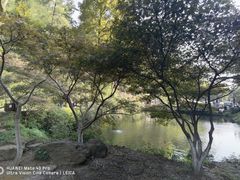 -岳麓山风景名胜区