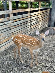 -圣露庄园·草坪婚礼·宴会厅·会议