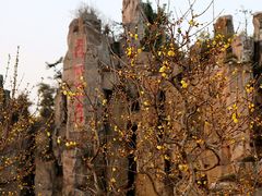 -秀丽东方