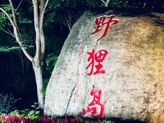 -野狸岛