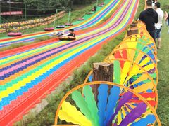-武陵山森林公园