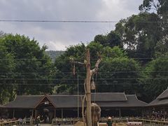 -野象谷景区