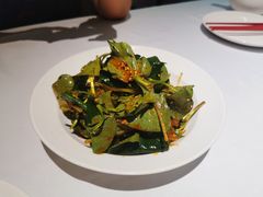 凉拌折耳根-巴蜀风月·聚会团建·生日宴(宝安店)
