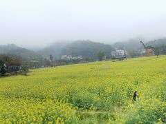 -红山村
