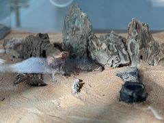 -上海自然博物馆