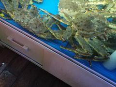 -真情鲍鱼海鲜汤