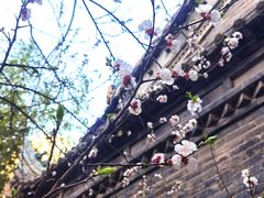 -罔极寺