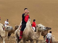 -银肯塔拉沙漠生态旅游景区