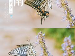-黄巢水库