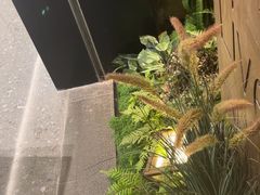 -同仁四季椰子鸡(无锡滨湖万象汇店)