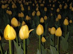 -长春公园(普阳街道)