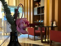 -The Lounge大堂酒廊·咖啡·沙拉·下午茶(金茂深圳JW万豪酒店)