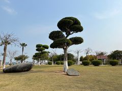 -集美学村