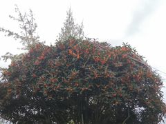 -洪湖家庭农场·团建·露营·会议