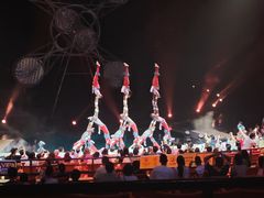 -广州长隆国际大马戏
