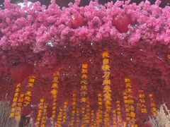 -北京欢乐谷