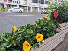 -常熟路(地铁站)