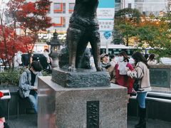 -涩谷区