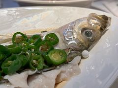 -桂满陇·海市蜃楼·黑金(国金店)