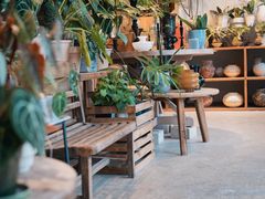 -自由生长植物工作室(深港花卉中心店)