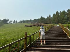 -莫尔道嘎国家森林公园