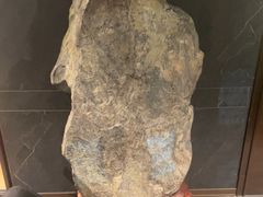 -浩运·海鲜青岛菜·海胆水饺(石老人店)