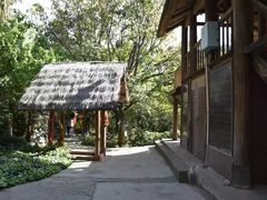 -云南民族村