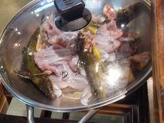 -石锅苗苗鱼(武汉首店)