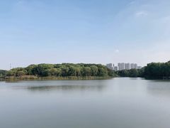 -昆山城市生态森林公园