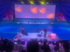 -南昌融创海世界