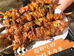 红柳枝羊肉串-湘里乡亲甲王二老店