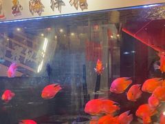 -朱光玉火锅馆(正弘城店)